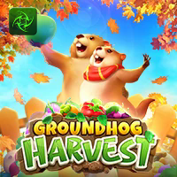 GROUNDHOG HARVEST